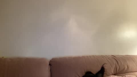 Snapshot of justjessiedirtygirl chatting on 2, 3, 2026 Jess online show from 2, 3, 2026