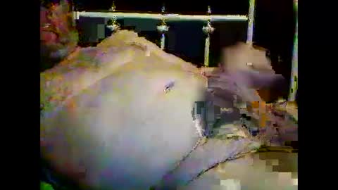 justpervfun online show from 15, 1, 2025