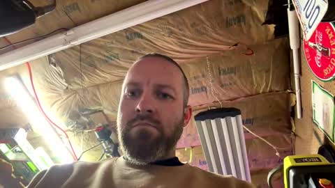 jwelly8998 online show from 6, 5, 2026