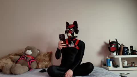 Alex online show from 29, 4, 2026