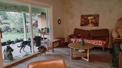 Snapshot of kaileeshy chatting on 8, 1, 2026 Kailee Smile online show from 8, 1, 2026