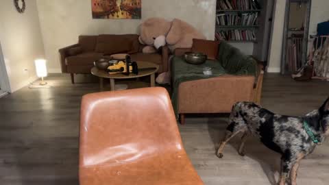 Snapshot of kaileeshy chatting on 6, 3, 2026 Kailee Smile online show from 6, 3, 2026