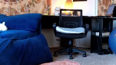 Tara Smith online show from 30, 1, 2025