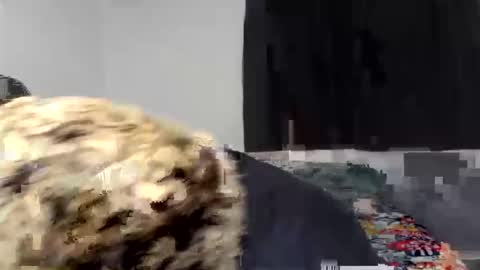 kammy   y   camila online show from 9, 4, 2026