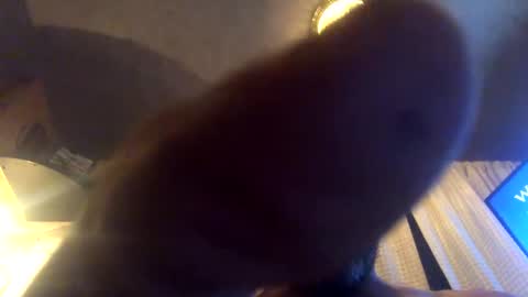 Tucker online show from 23, 9, 2025