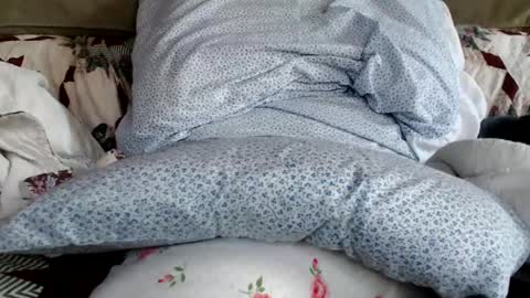 Snapshot of kaonashi69 chatting on 19, 1, 2025 kaonashi69 online show from 19, 1, 2025