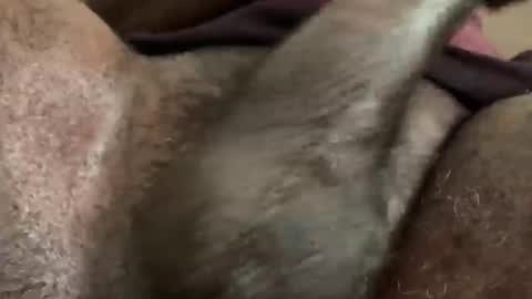 Snookie online show from 5, 12, 2024