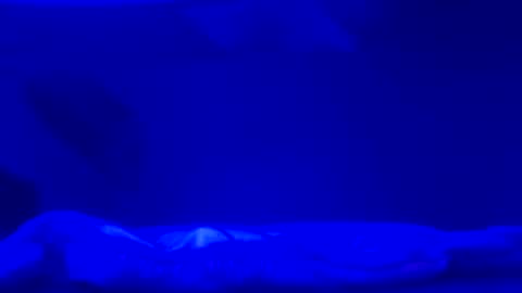 Karla Gonzaless online show from 2, 11, 2025