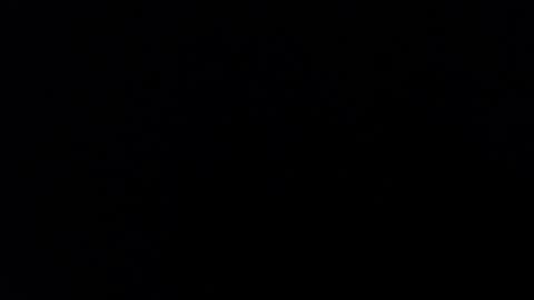 Snapshot of karolay_su chatting on 31, 1, 2025 ARIANNA online show from 31, 1, 2025