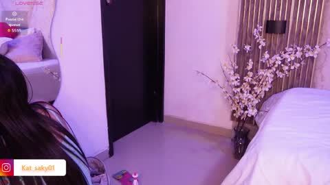 Saky online show from 26, 5, 2026