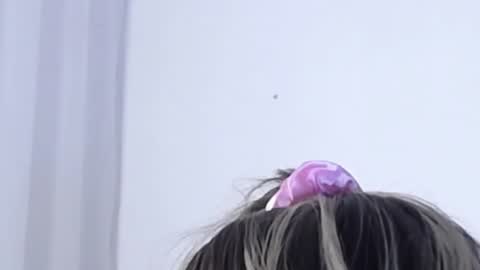 Help me with rate thanks  online show from 3, 1, 2025