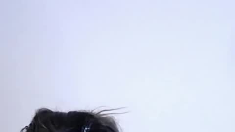 Help me with rate thanks  online show from 10, 2, 2026