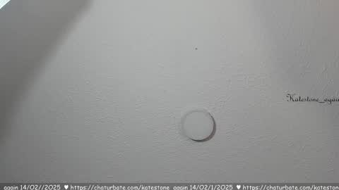 Snapshot of katestone_again chatting on 14, 2, 2025 love meeee online show from 14, 2, 2025