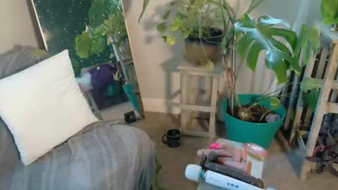 Kate online show from 1, 10, 2025