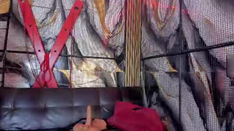 kati online show from 11, 6, 2026