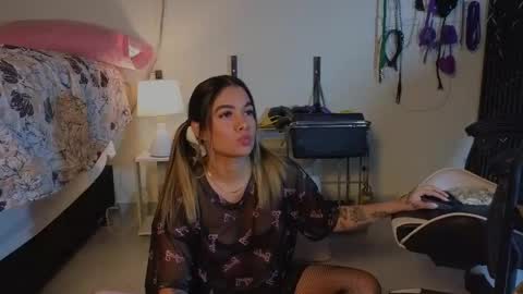 Katt  online show from 25, 4, 2026