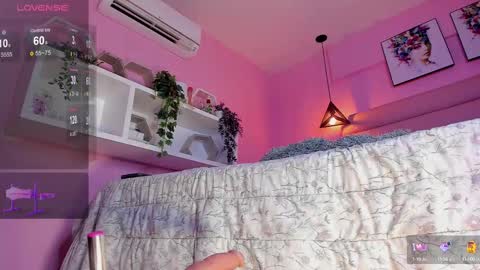 Katta online show from 2, 3, 2025