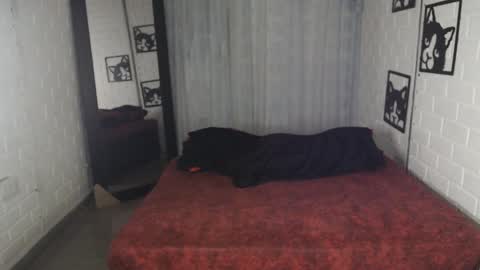 kattia online show from 1, 2, 2025