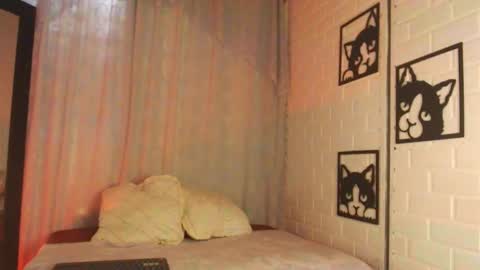 kattia online show from 18, 2, 2025