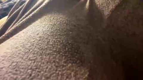 Snapshot of katxxgolding chatting on 3, 6, 2026 Princesse Kat online show from 3, 6, 2026