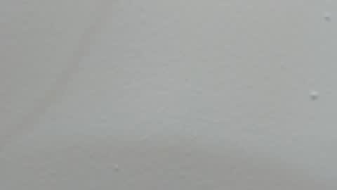 Snapshot of katy_and_paola chatting on 14, 2, 2025 katy blonde girl and paola big boobs online show from 14, 2, 2025