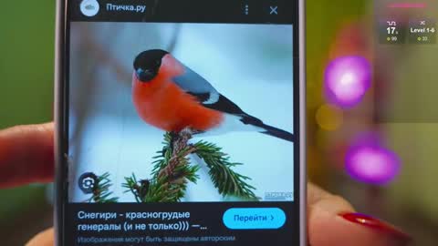 Katy      -    online show from 21, 2, 2025