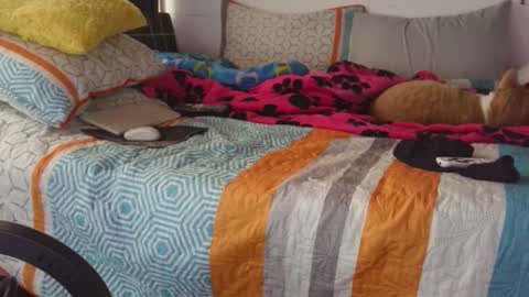  Khawit  online show from 14, 9, 2025