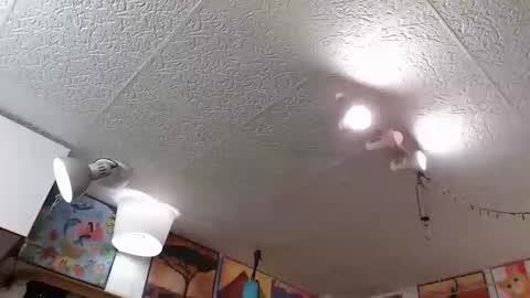 kelly online show from 24, 4, 2026