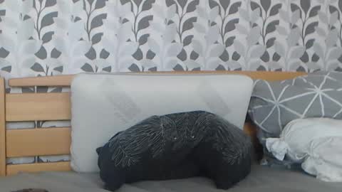 kelywild20 online show from 25, 7, 2026