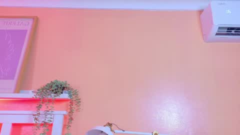   online show from 20, 4, 2026