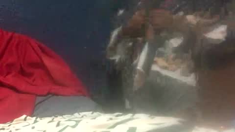 kevin168042 online show from 19, 3, 2026