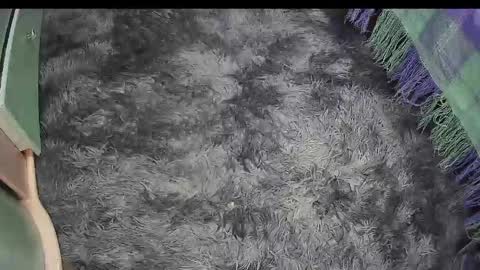 Keyla online show from 18, 4, 2026