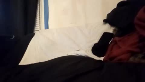 Frankie online show from 14, 1, 2026