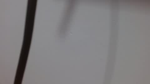 Melody online show from 3, 10, 2025