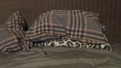 Snapshot of kiki3526 chatting on 23, 11, 2025 kiki3526 online show from 23, 11, 2025