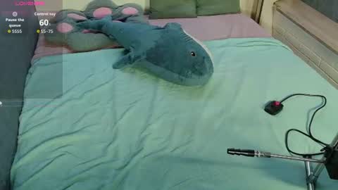 Kiki online show from 25, 7, 2026