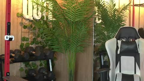 Kim online show from 14, 5, 2026