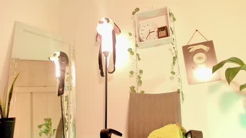 Kimm online show from 14, 1, 2025