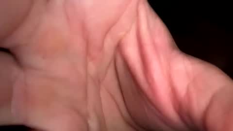 king26844 online show from 29, 3, 2026