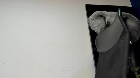 Angel Falconer online show from 4, 11, 2025