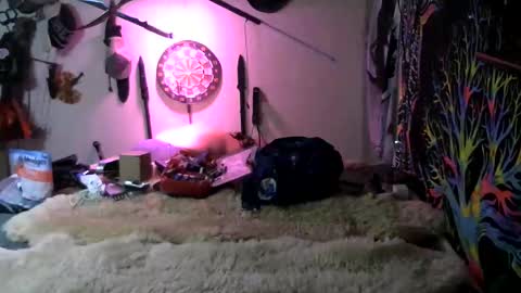 Jerry online show from 7, 3, 2026