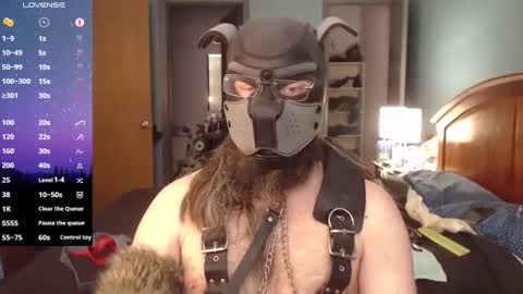 kinkywolf87 online show from 27, 2, 2025