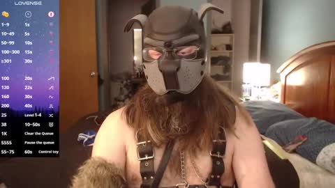 kinkywolf87 online show from 7, 3, 2025