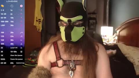 kinkywolf87 online show from 2, 4, 2026