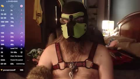 kinkywolf87 online show from 8, 5, 2026