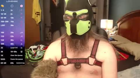 kinkywolf87 online show from 15, 5, 2026