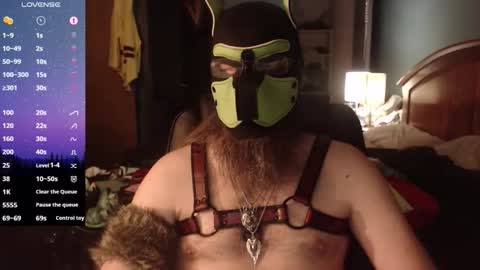 kinkywolf87 online show from 20, 5, 2026