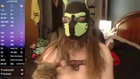 kinkywolf87 online show from 20, 5, 2026