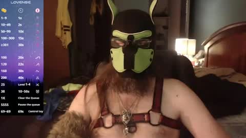 kinkywolf87 online show from 11, 6, 2026