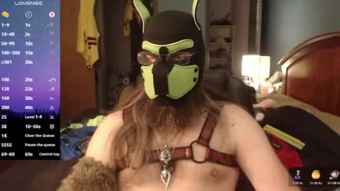 kinkywolf87 online show from 12, 6, 2026